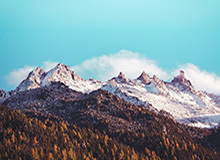 亚洲足球-内维尔谈切尔西球员围圈：像邪教，纯粹作秀，毫无意义，荒诞可笑